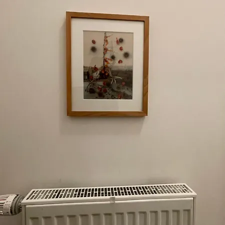 Neu Stephen Gill ケルン