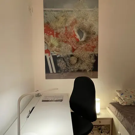 Neu Stephen Gill Colonia