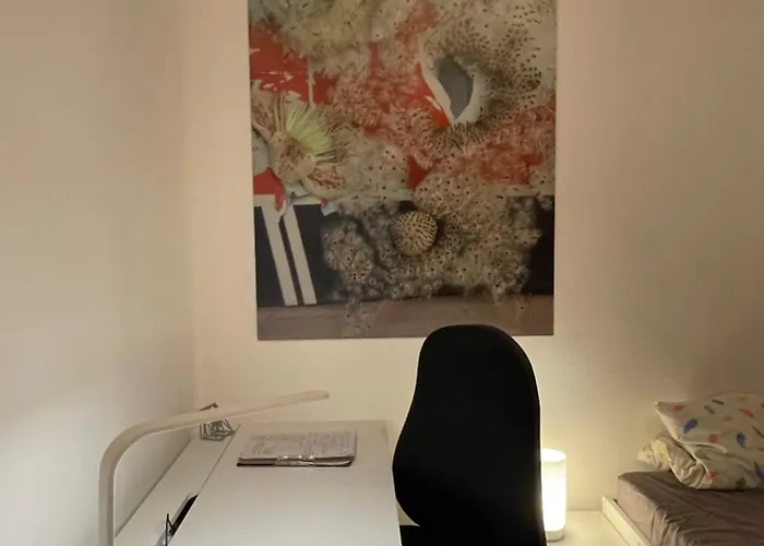 Neu Stephen Gill Keulen